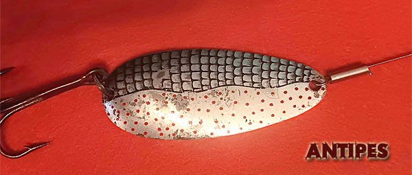 FASSA - varie esche artificiali