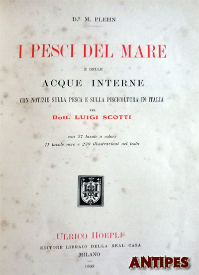 Libro Luigi SCOTTI - I pesci del mare acque interne - 1909