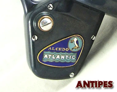 Alcedo Atlantic