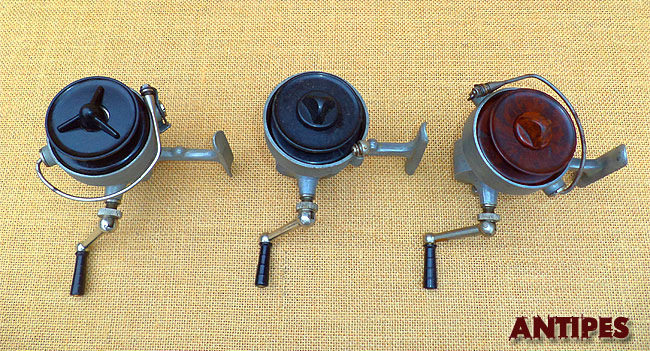 Cargem CIGNO - V versione con etichetta