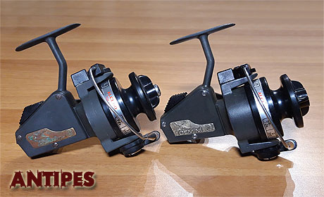 Alcedo Pelican 1 a bbina coprente a confronto con un Alcedo Gemini 1