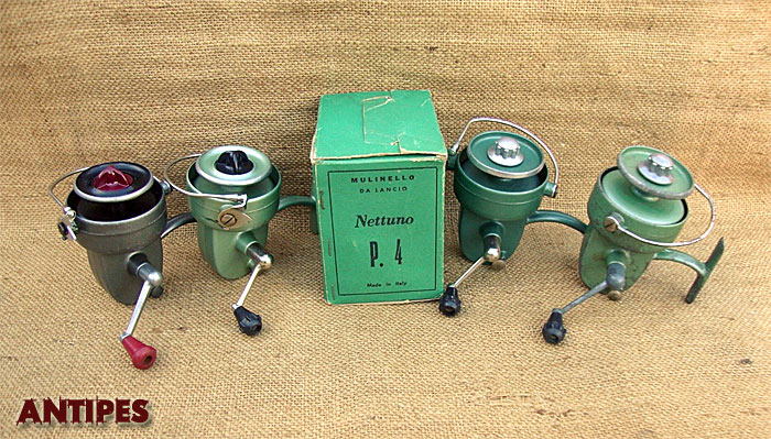 Nettuno P4 diversità