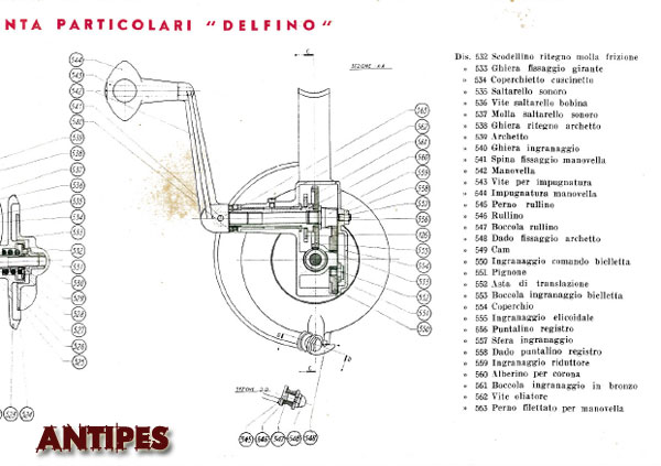 Zangi DELFINO venduto a settembre del 1964