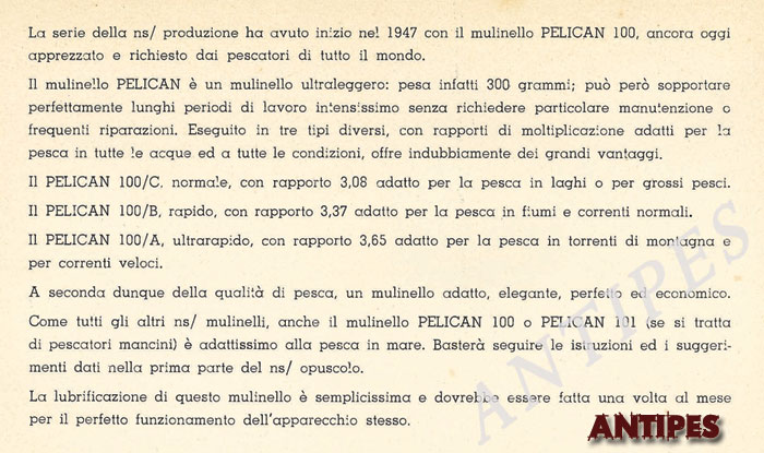 ZANGI primissimo catalogo