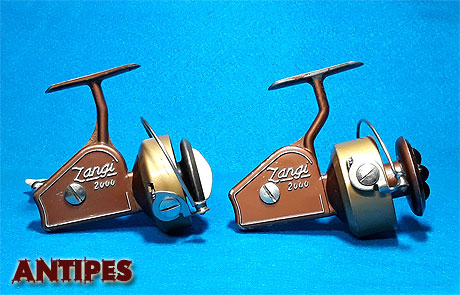 ZANGI 2000 color marrone - oro a confronto