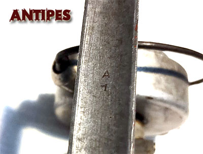 Squalius Super - matricola A1