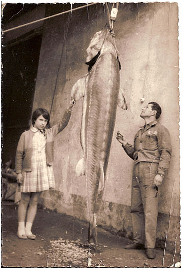 Prototipo con pesce